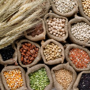 Food & Nutrition