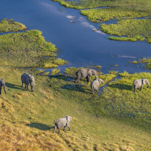 Wildlife Conservation: Restore Habitats